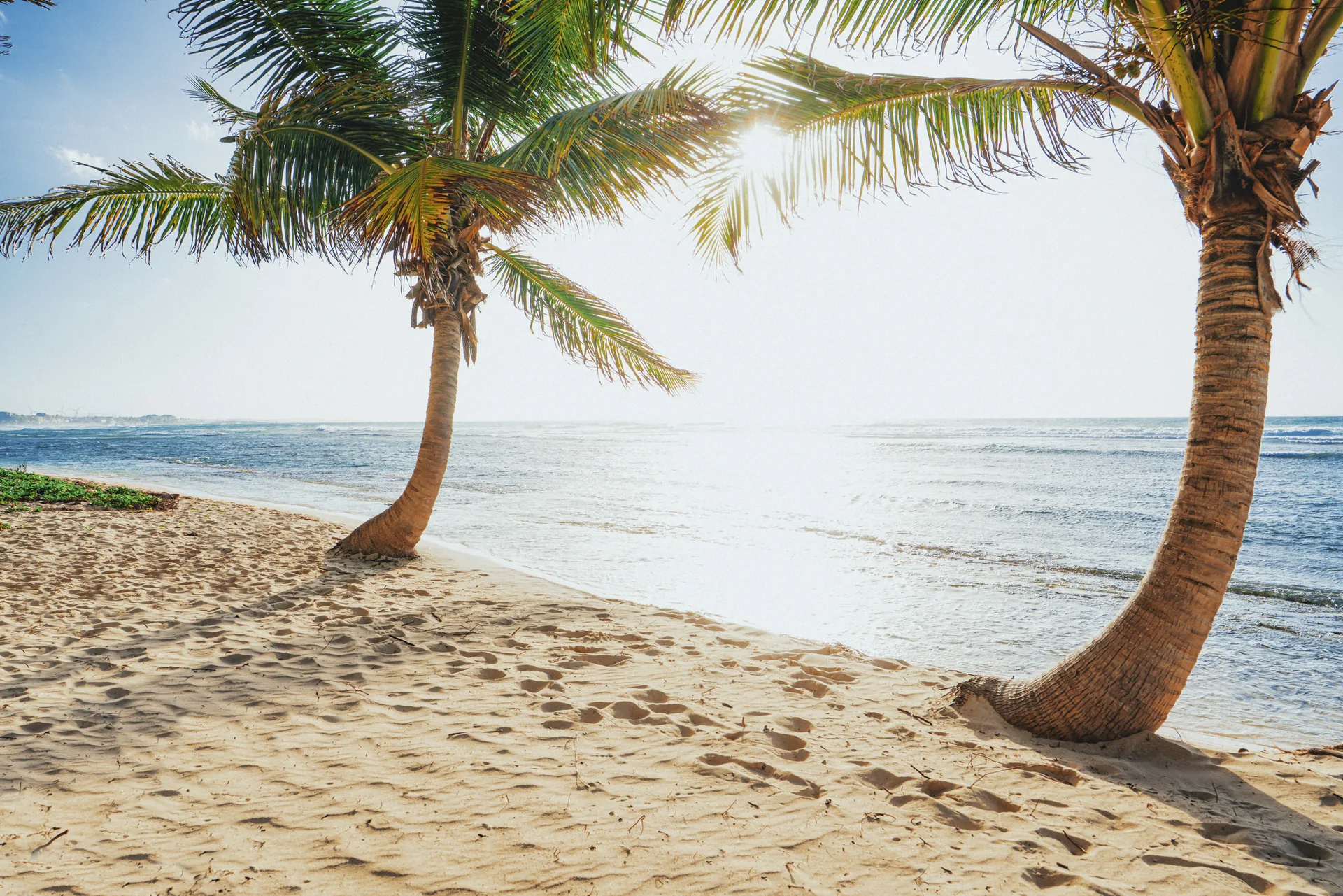 Le littoral près de la résidence