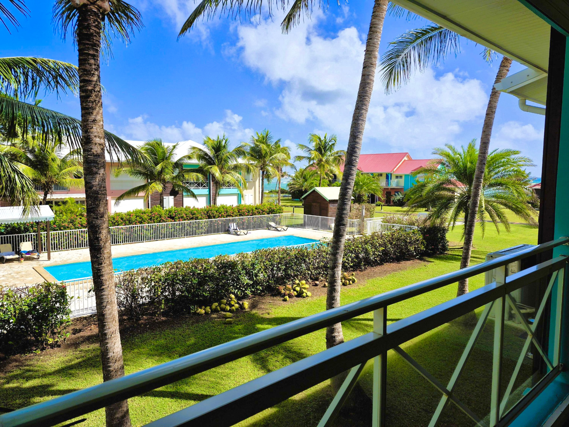Le jardin tropical vu depuis Courbaril